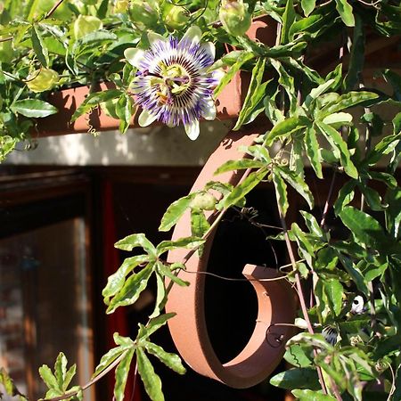 Gite L'Ecurie Jodoigne Εξωτερικό φωτογραφία